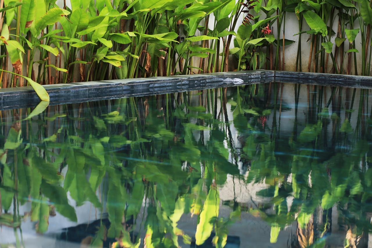 The Bau Bi Retreat Apartment ฮอยอัน ภายนอก รูปภาพ