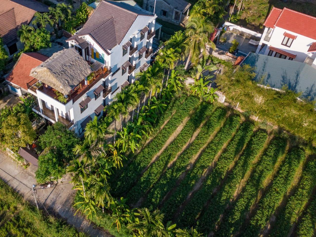 The Bau Bi Retreat Apartment ฮอยอัน ภายนอก รูปภาพ